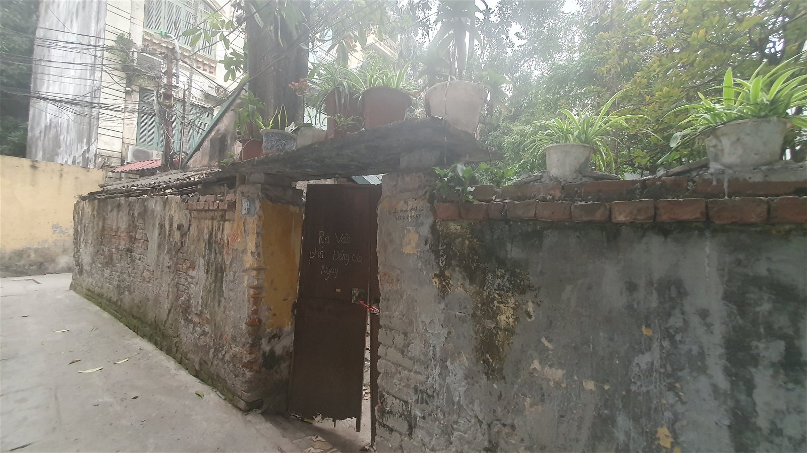 Bán Đất Phố Võng Thị Quận Tây Hồ. 404m Mặt Tiền 11m Nhỉnh 50 Tỷ. Cam Kết Ảnh Thật Mô Tả Chính Xác. Chủ Cần Bán Gấp. 1537