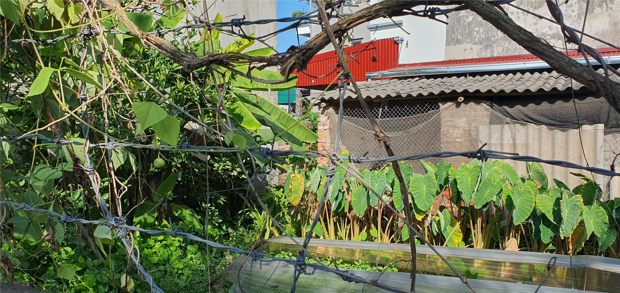 Đông Anh, Vân nội, 59m2 Vân Nội rộng 4m đường to