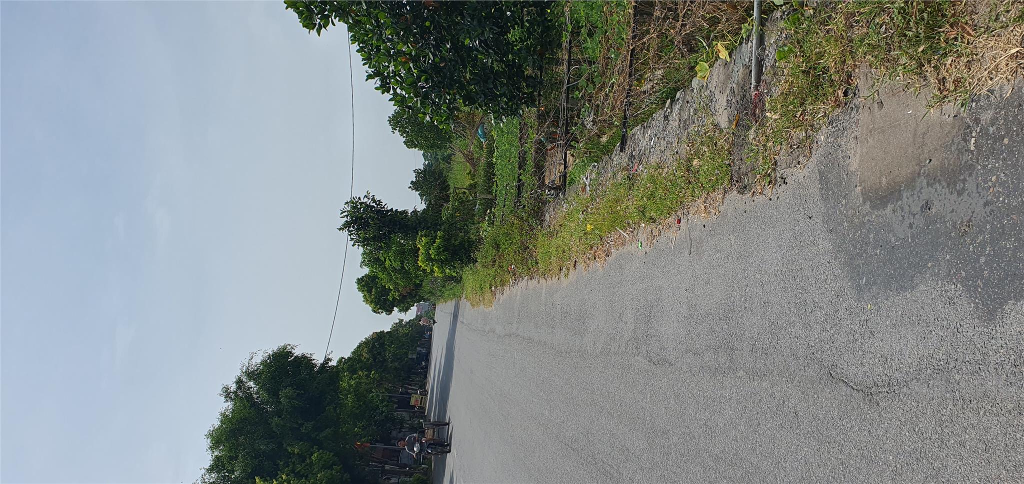 Đất Hải Bối, Đông Anh gần chợ Bỏi Phương Trạch, cầu Thăng Long - Cổ Nhuế