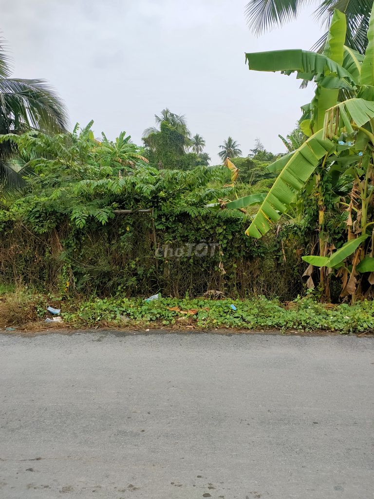 Cần tiền gấp bán gấp lô Đất mặt tiền ĐH.25C Cách QL50 mới 1km