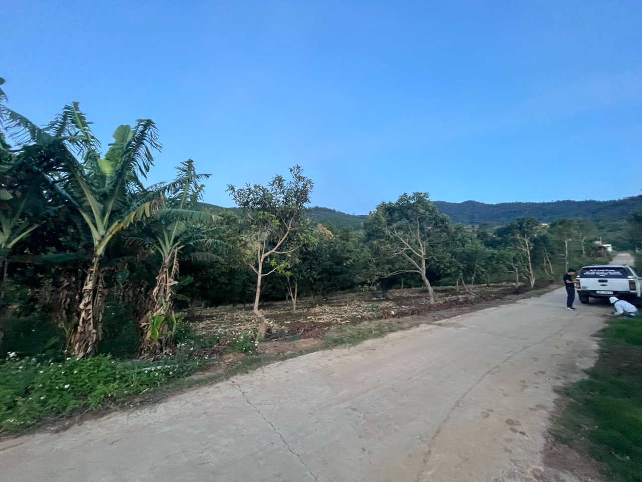 Cần tiền gấp bán gấp lô Đất Thổ Cư, Đã có sổ 2400m2 Lâm Hà, Lâm Đồng