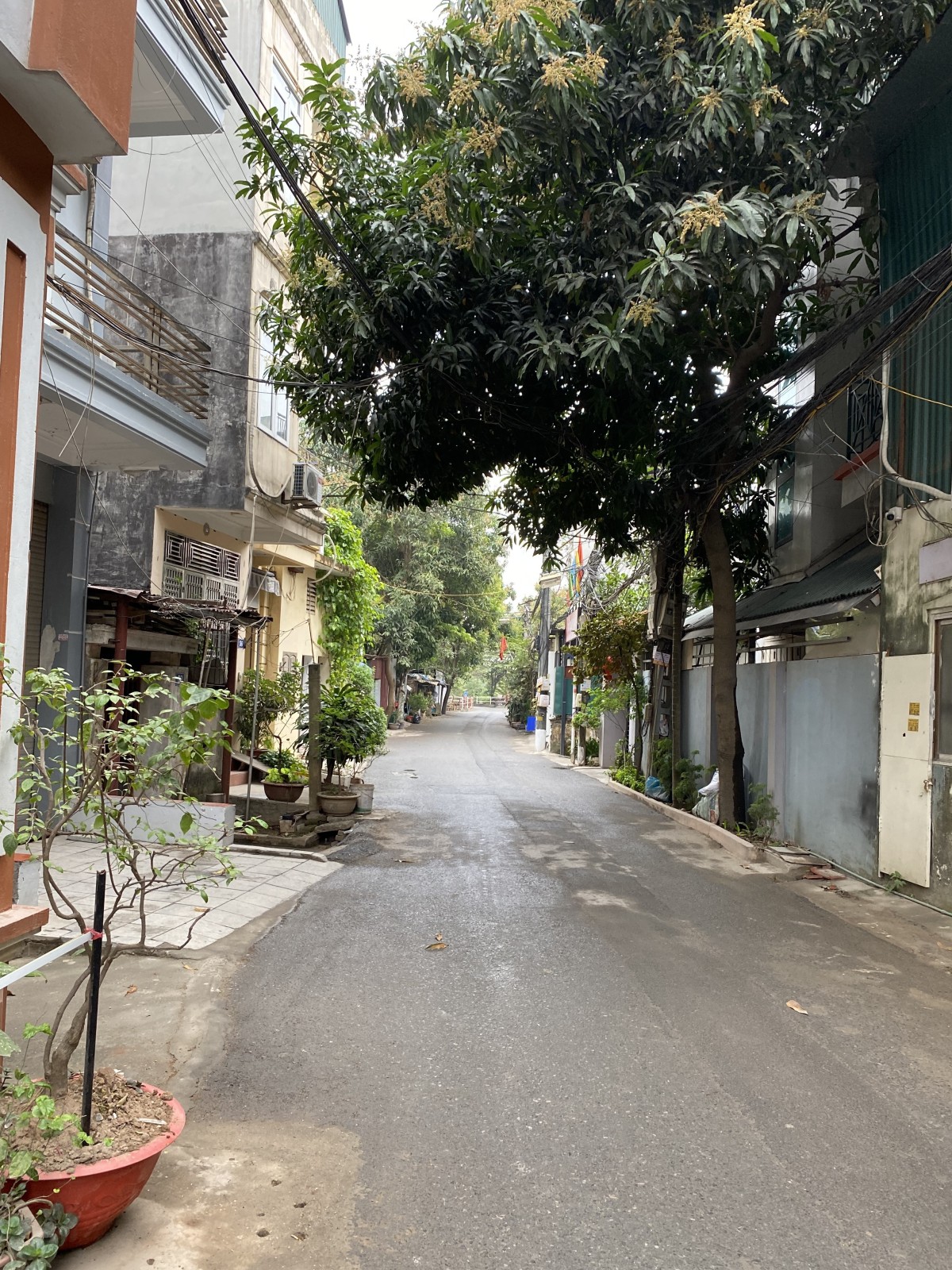 Cơ hội hiếm: Nhà 30m2 5 tầng kinh doanh tại Kim Giang, ô tô qua nhà, giá 3.6 tỷ