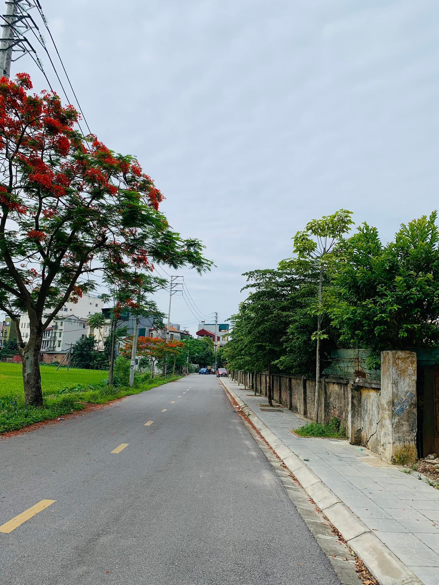 Đất Bắc Hồng, Đông Anh góp phần xây dựng giấc mơ nhà đẹp giá chỉ ~1 tỉ