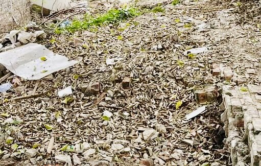 ĐẤT ĐẸP QUANG TIẾN NGÕ NÔNG ÔTÔ ĐỖ CỬA CÁCH PHỐ 50M