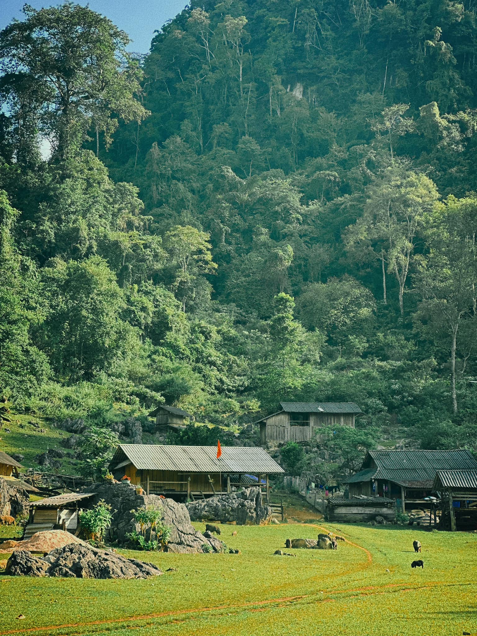 CẮT LỖ LÔ ĐẤT MỘC CHÂU SIÊU HOT CHO NHÀ ĐẦU TƯ