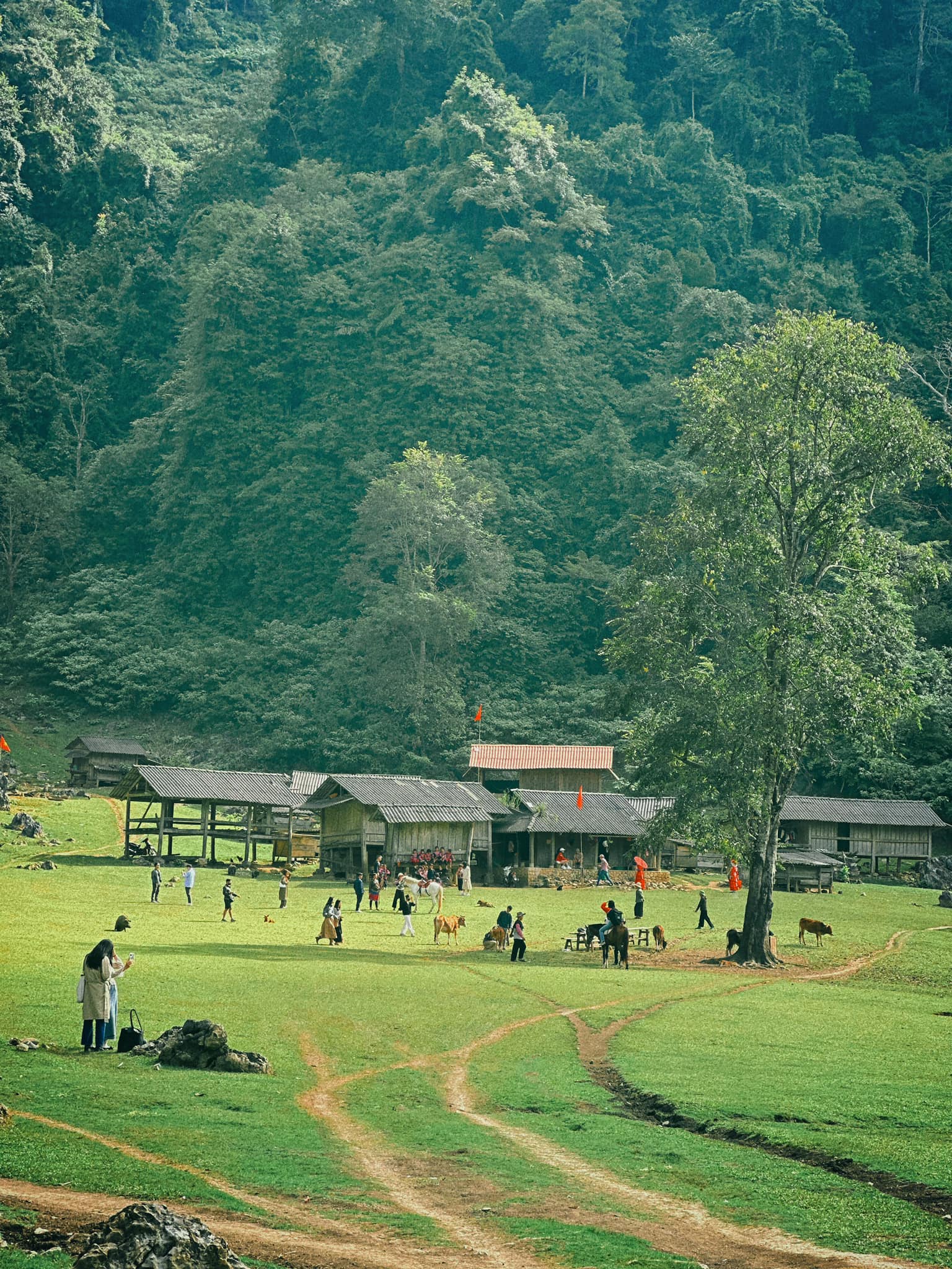 BÁN NHANH LÔ ĐẤT BÁT XÁT LÀO CAI SIÊU TIỀM NĂNG