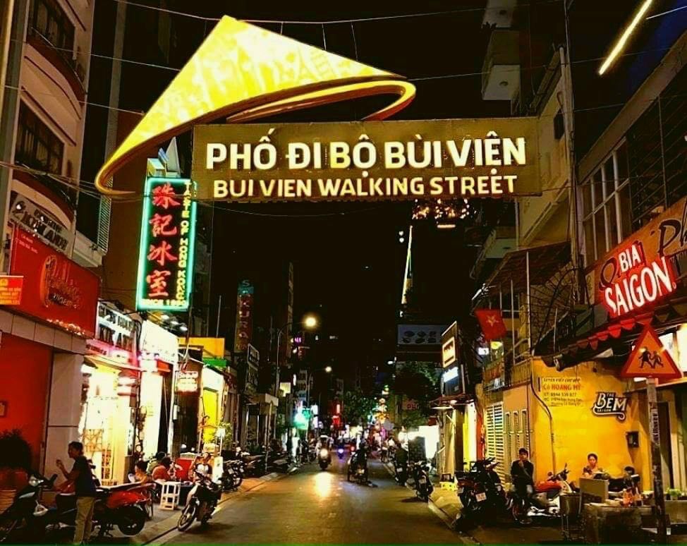 Phố Tây Bùi Viện, 4 Tầng Đẹp Keng, Dòng Tiền Sẵn, Nhĩnh 6 Tỷ