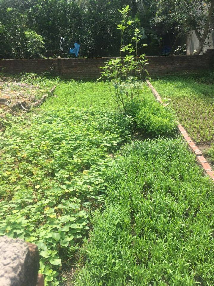 Bán 40m2 đất Giao Tất A, Kim Sơn giá 1.1 tỷ