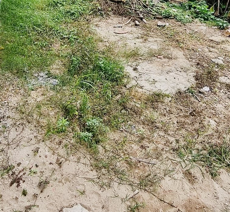 CẦN BÁN ĐẤT HIỂM DO NHA 5M RA ÔTÔ TRÁNH