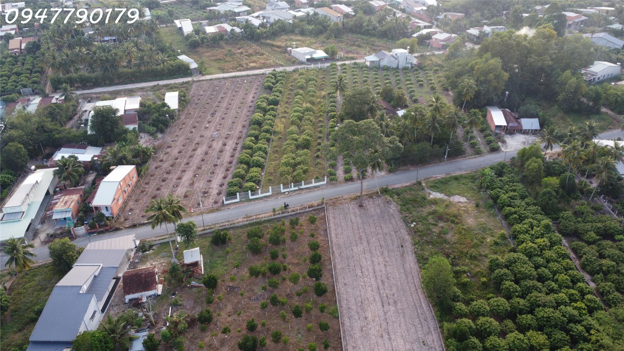 Đất Thổ Cư 100%, Tiện Ích Xung Quanh Đầy Đủ - Chỉ 6 Tỷ