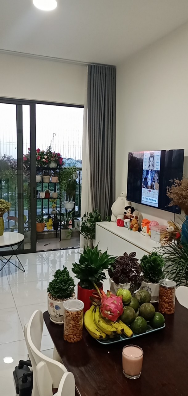 Cho Thuê Căn Hộ Chung Cư SAFIRA KHANG ĐIỀN 2Pn 2wc FULL NỘI THẤT Chỉ 9.5 Triệu