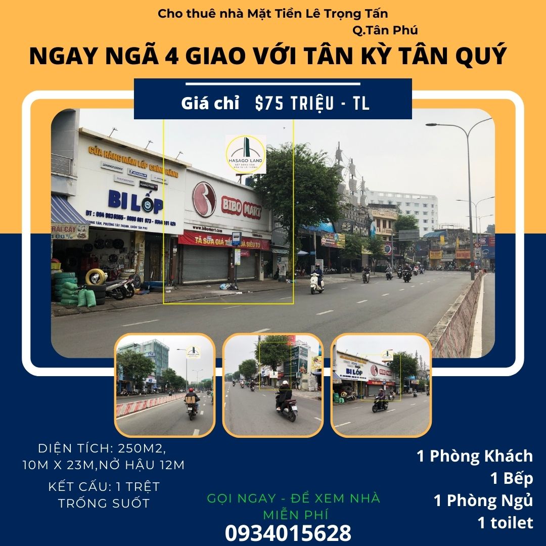Cho thuê nhà Mặt Tiền Lê Trọng Tấn 250m2, 75 triệu - NGANG 10M