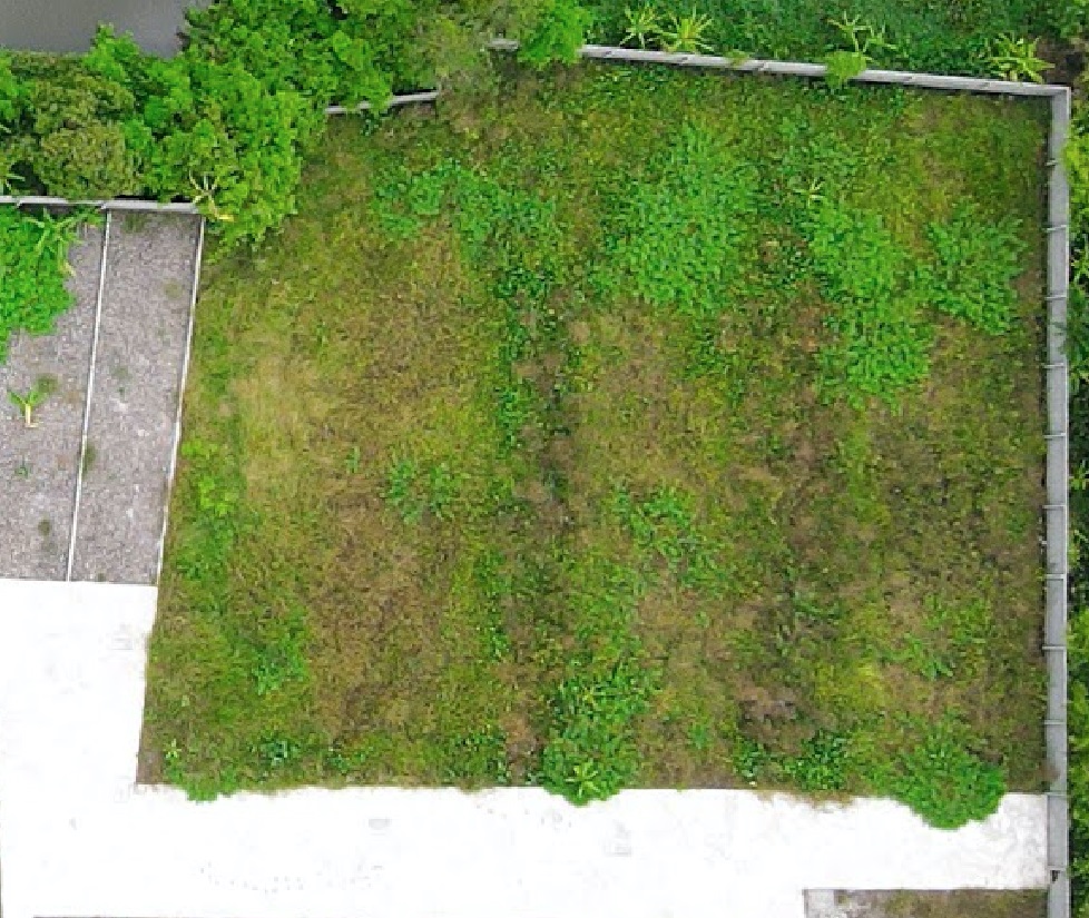 Chính chủ bán lô đất 1.322m2 gần KCN Tràng Duệ