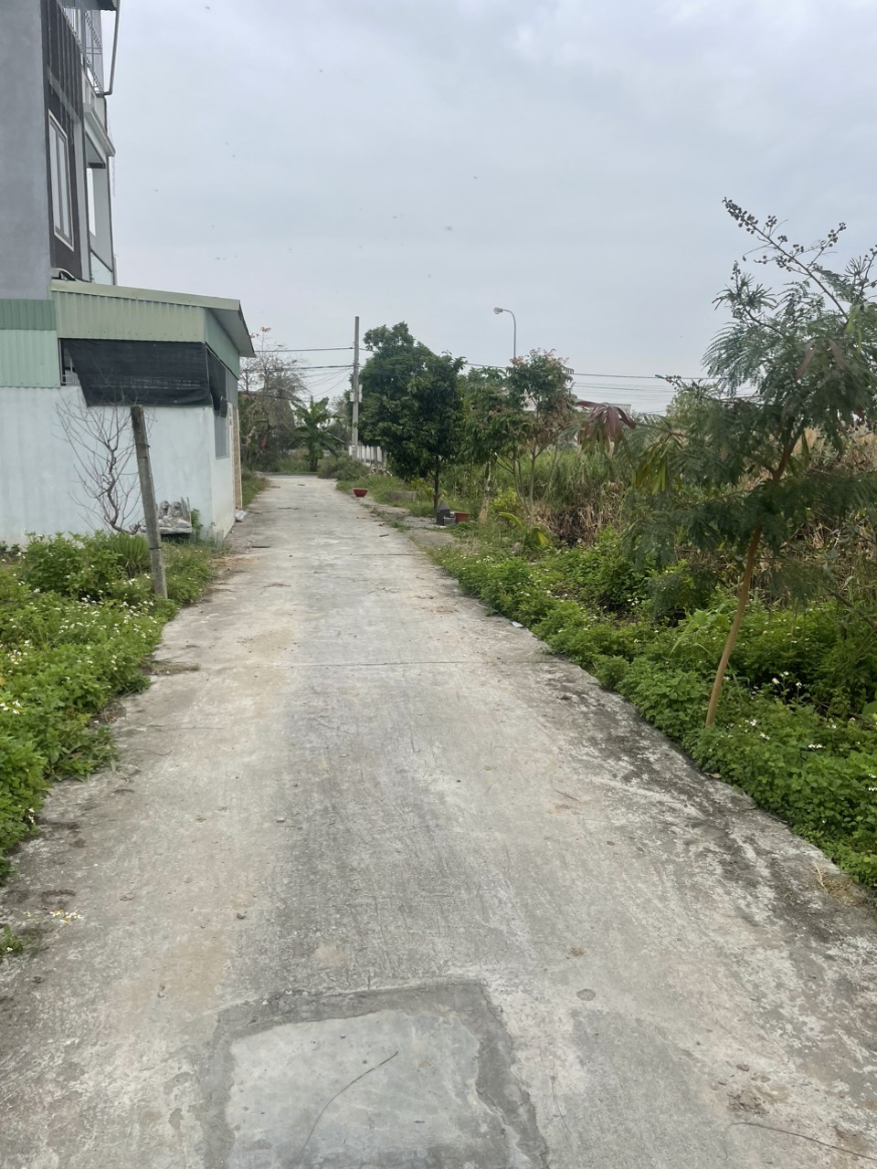 Cần bán gấp lô đất 54m² ngõ 3m tại 312 Cát Linh, Tràng Cát, Hải An.