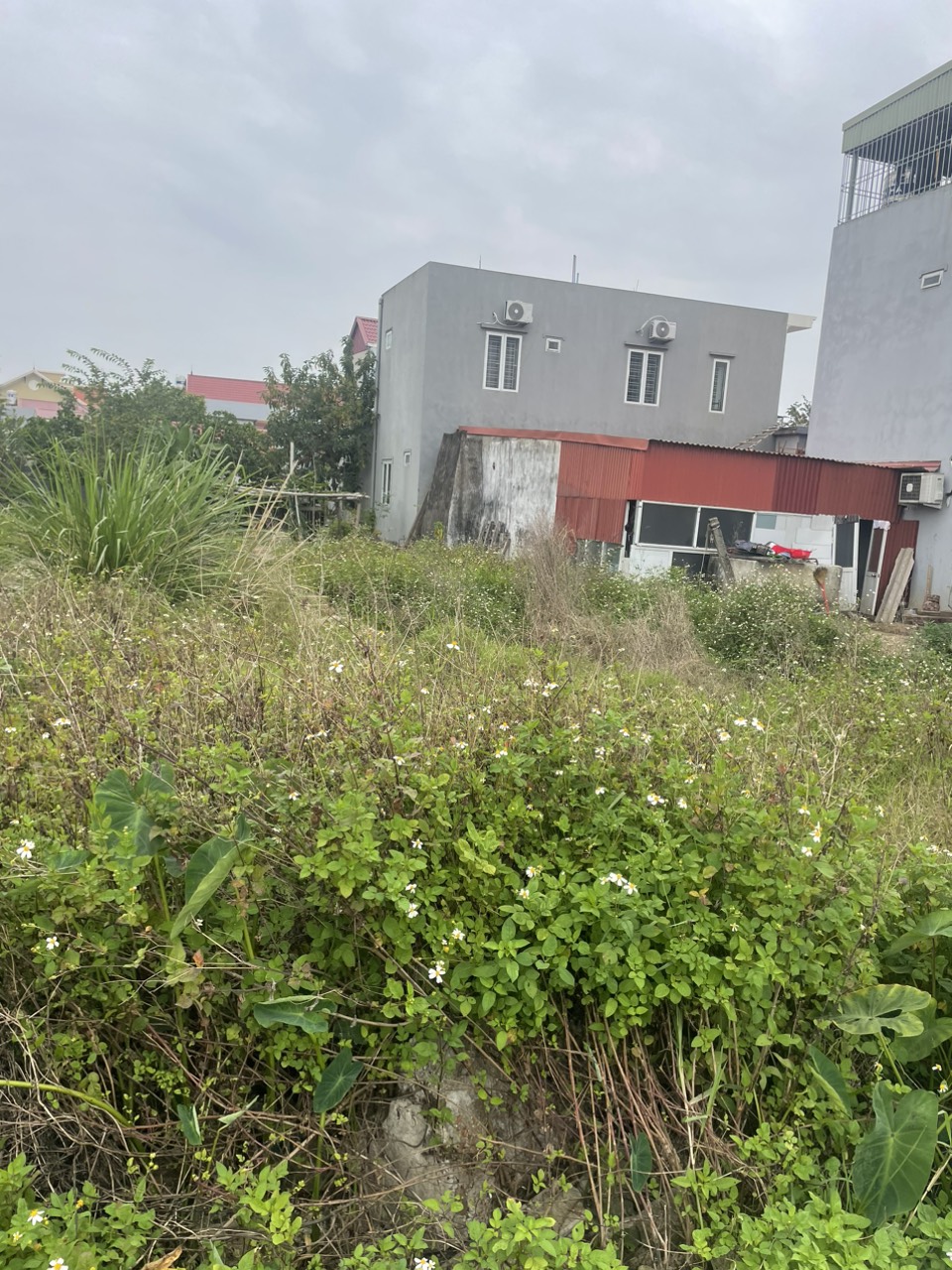 Cần bán gấp lô đất 54m² ngõ 3m tại 312 Cát Linh, Tràng Cát, Hải An.