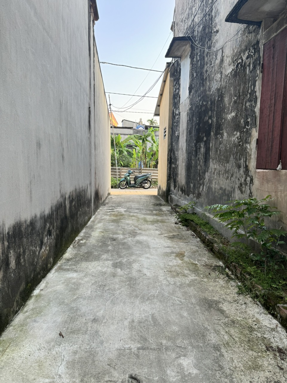 Bán 40m Kiêu Kỵ Gia Lâm, ngõ thoáng 2.5m giá nhỉnh 1.4 tỷ