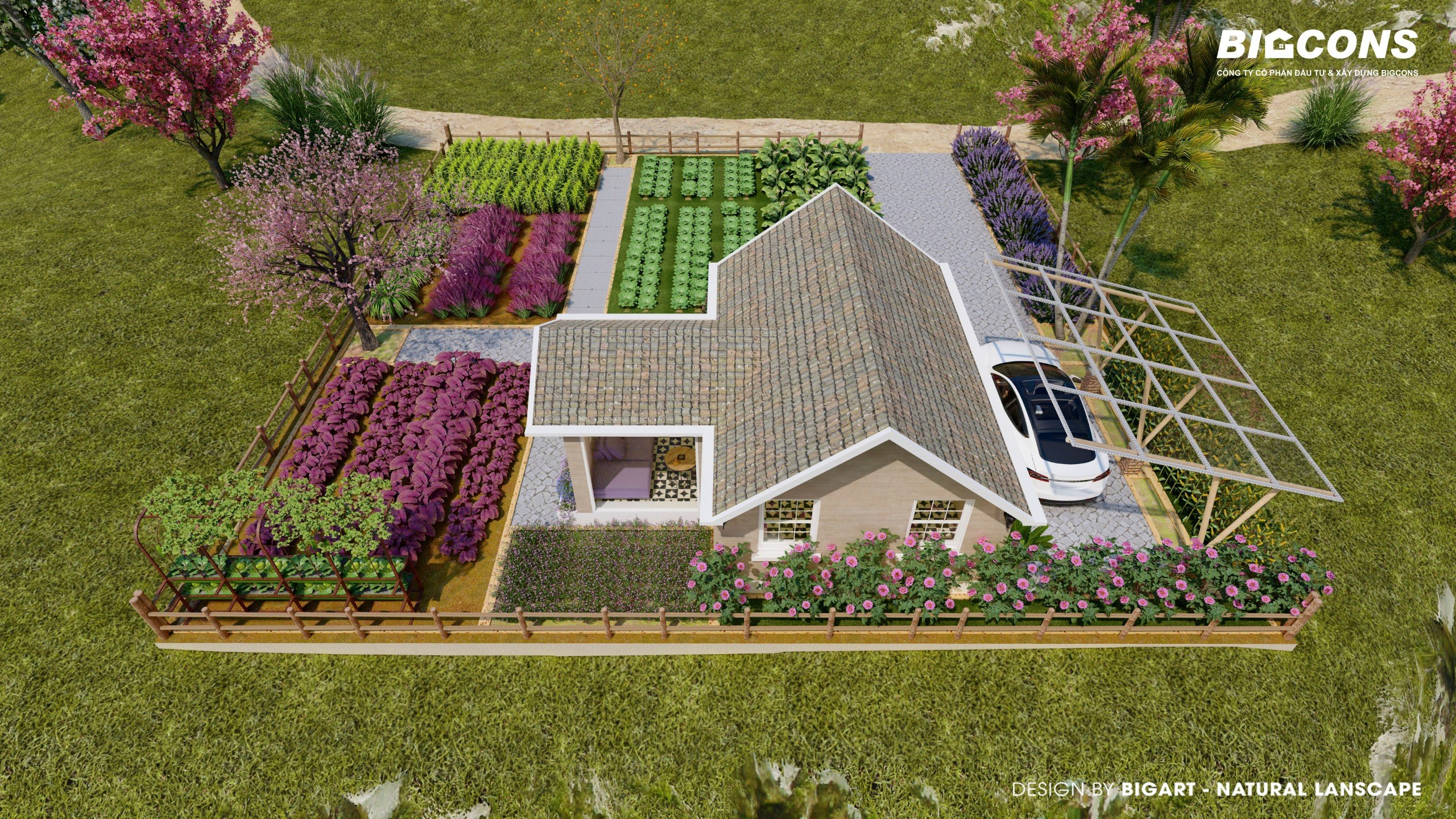 THỊ TRƯỜNG TIỀM NĂNG CỦA TƯƠNG LAI - BDS Tây Nguyên