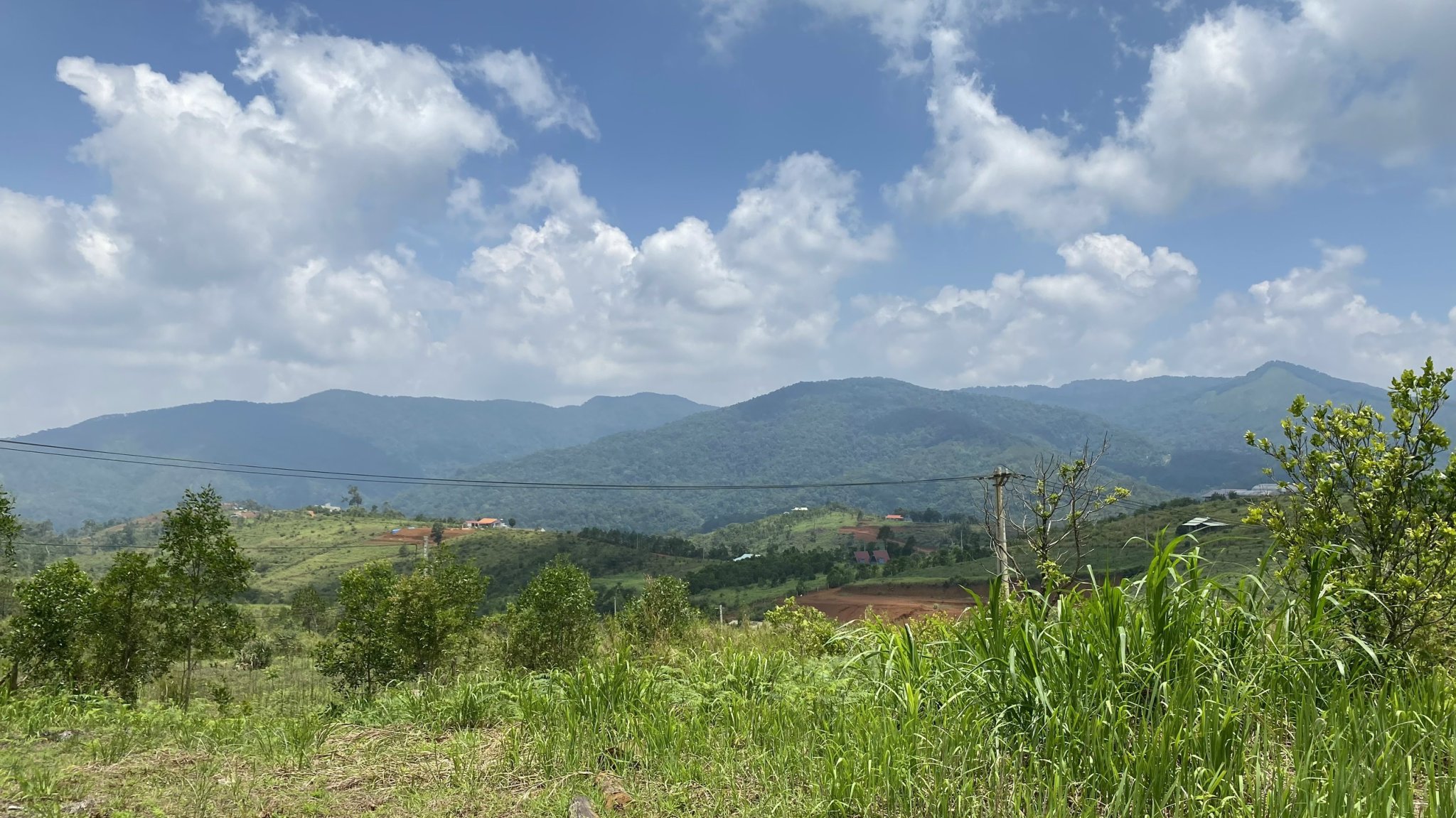 CHÍNH CHỦ CẦN BÁN NHANH MẢNH ĐẤT SÒ LƯỜN SIÊU TIỀM NĂNG