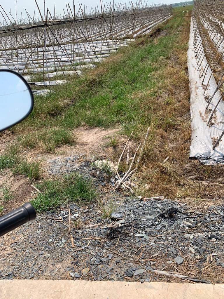 **CHÍNH CHỦ BÁN ĐẤT ĐANG QUY HOẠCH KDC XÃ TRUNG LẬP THƯỢNG – CỦ CHI – TP. HỒ CHÍ MINH**