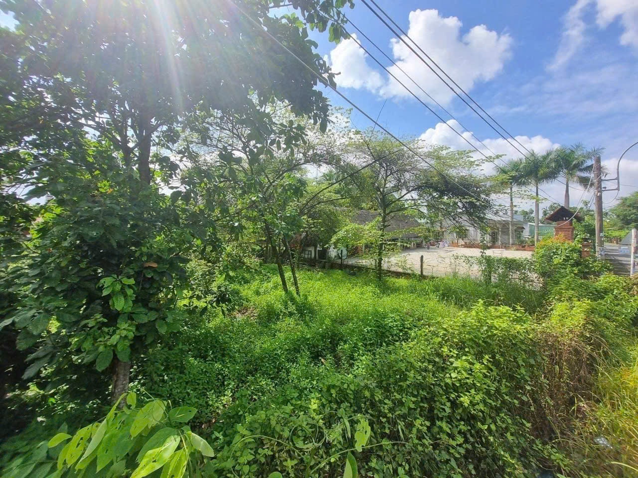 BÁN ĐẤT MĂT TIỀN VEN SÔNG- TIỆN XÂY NHÀ Ở NGHĨ DƯỠNG- THOÁNG MÁT-DT 15X22- GIÁ CHỈ 2,2TY.TL