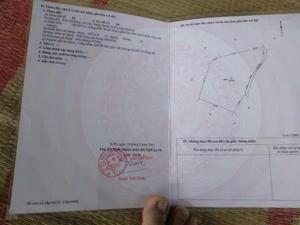 Cần bán gấp tổng diện tích 1,9 mẫu tại huyện La Pa, tỉnh Gia Lai