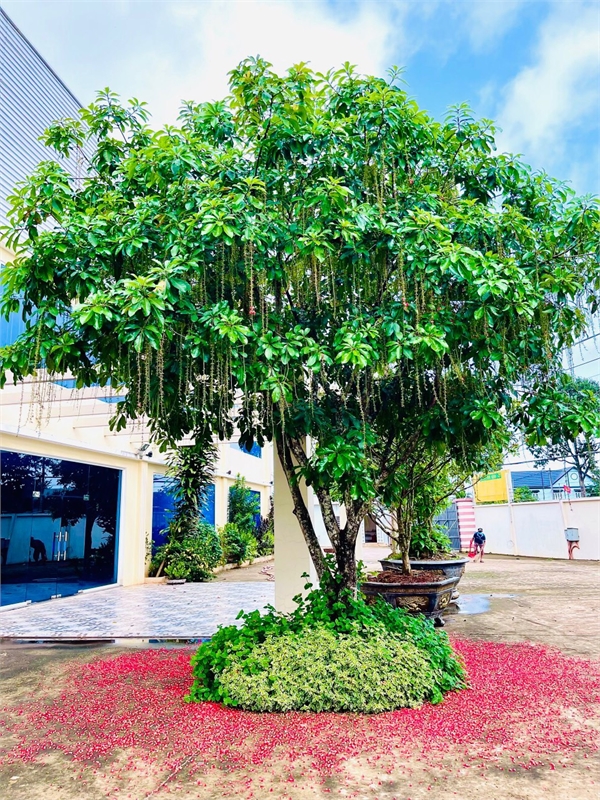 cho thuê kho lưu trữ hàng hóa, kho đông lạnh. cho thuê thời gian linh hoạt. bảo vệ 24h