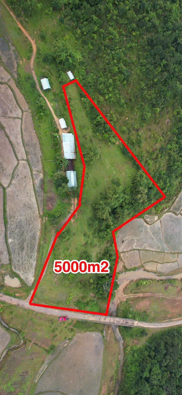 Chính chủ cần bán lô đất cực xịn tại Măng Đen- Kon Tum