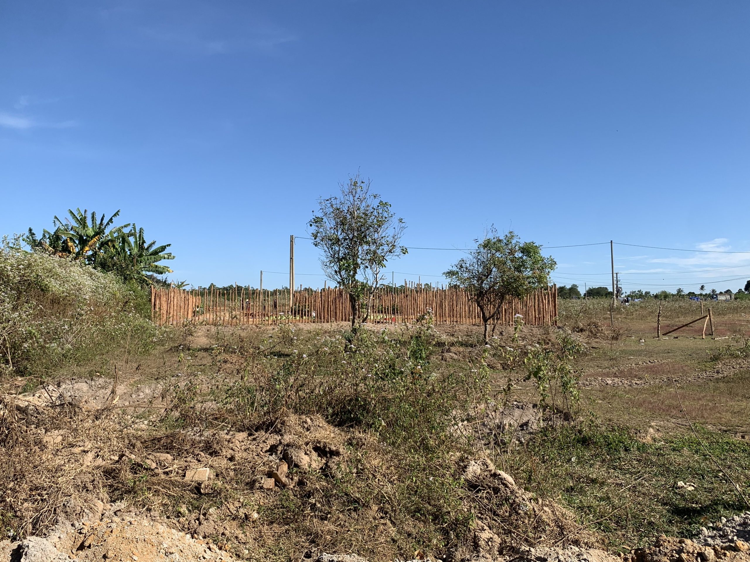 DUY NHẤT CÒN SÓT LẠI LÔ ĐẤT GIA LAI GIÁ SIÊU SIÊU RẺ