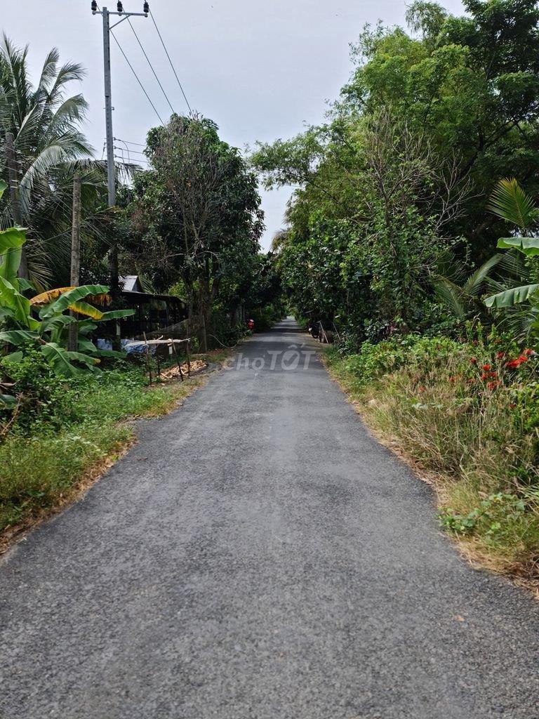 CHÍNH CHỦ CẦN BÁN GẤP LÔ ĐẤT Thổ Cư Vị Trí Đẹp Tại Bình Tấn, Thanh Bình, Đồng Tháp