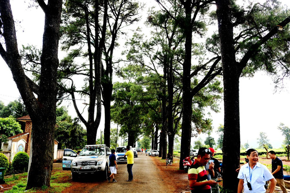 TIN KHẨN CẤP: BÁN GẤP LÔ ĐẤT GẦN BIỂN HỒ PLEIKU GIÁ SIÊU RẺ