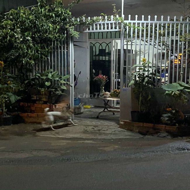 Chính Chủ cần bán nhà gấp tại Bình Tân