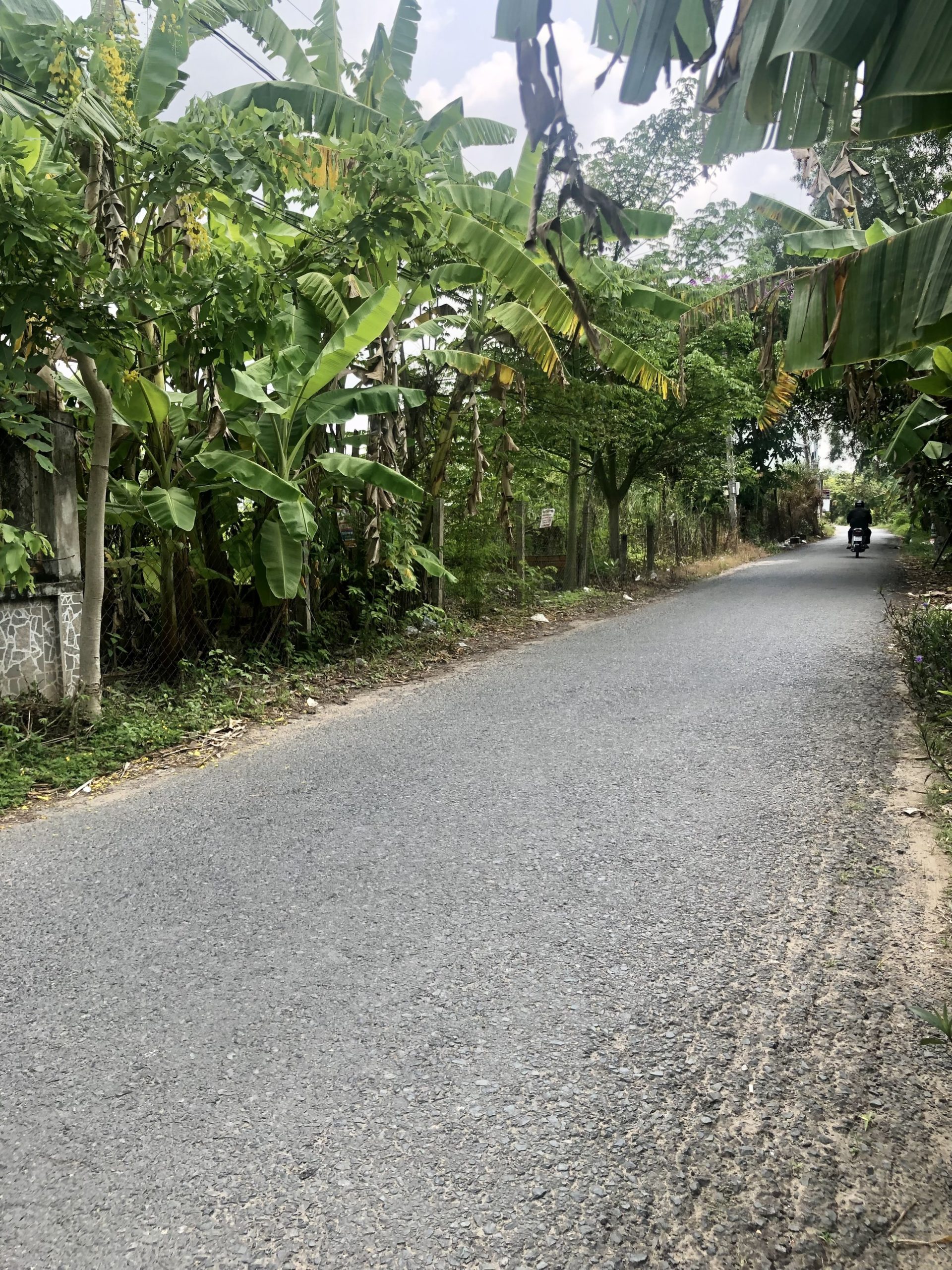 Chính chủ cần bán nhanh lô đât tại đường Tạ Thị Phi( đường vào khu du tích vườn mận), KV Bình Thường B, Phường Long