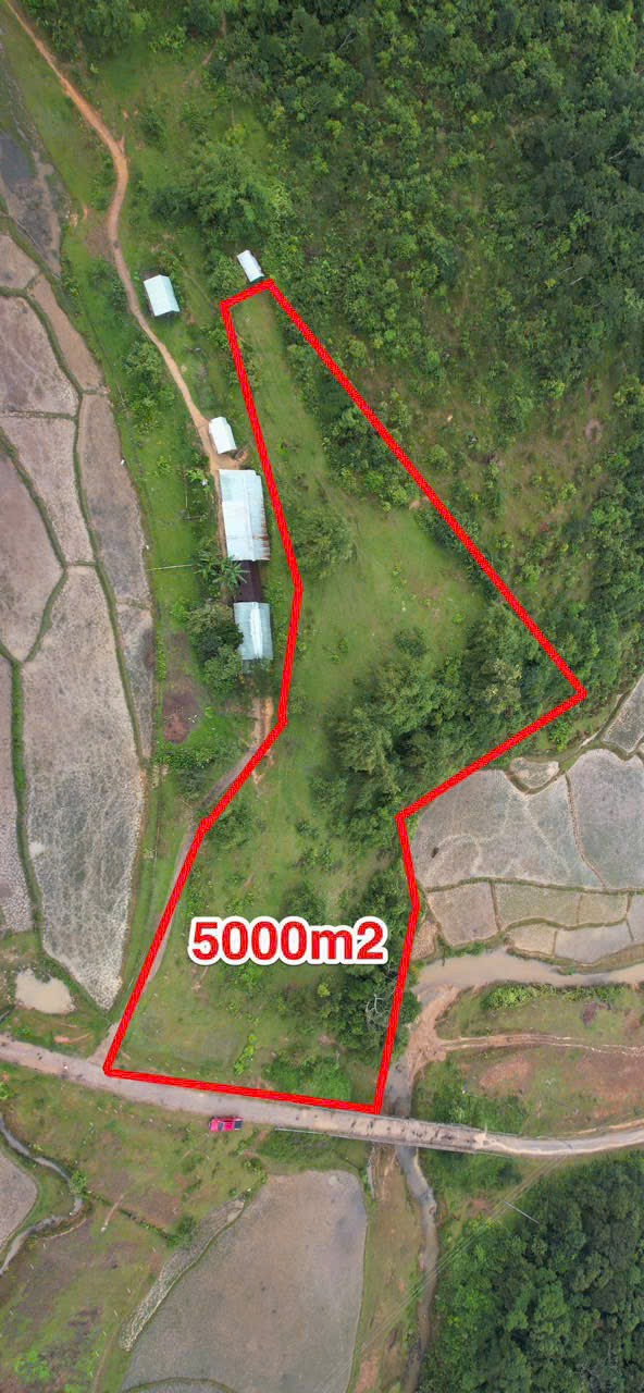 Măng Đen - chủ cần tiến gần bán gấp mảnh đất 100% k dính quy hoạch