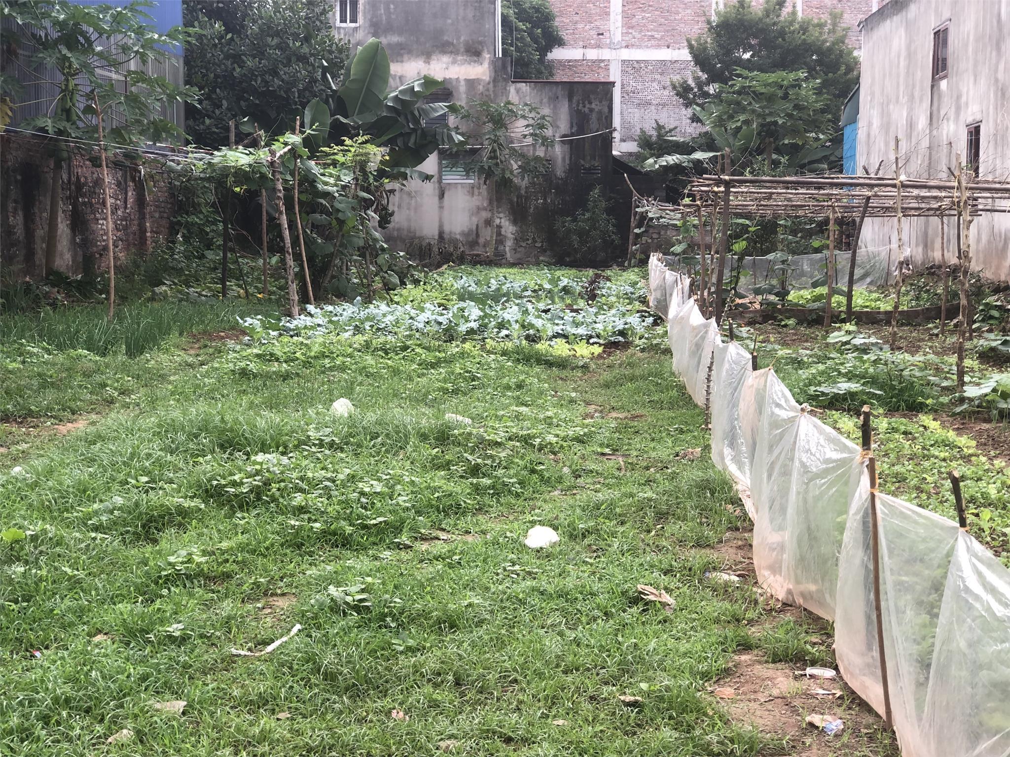 62m2 đất Phượng Nghĩa, Lô góc, chia được 2 lô, đường 5m thông, giá 1.25 tỷ.