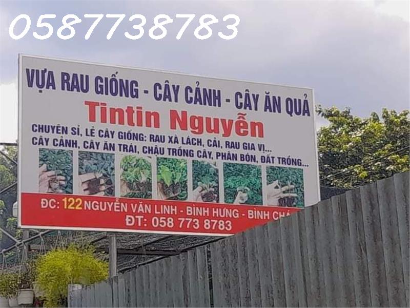 Qua năm về quê đầu tư, chính chủ cần sang nhượng cửa hàng bán cây kiểng, rau giống tại cơ sở 2.
