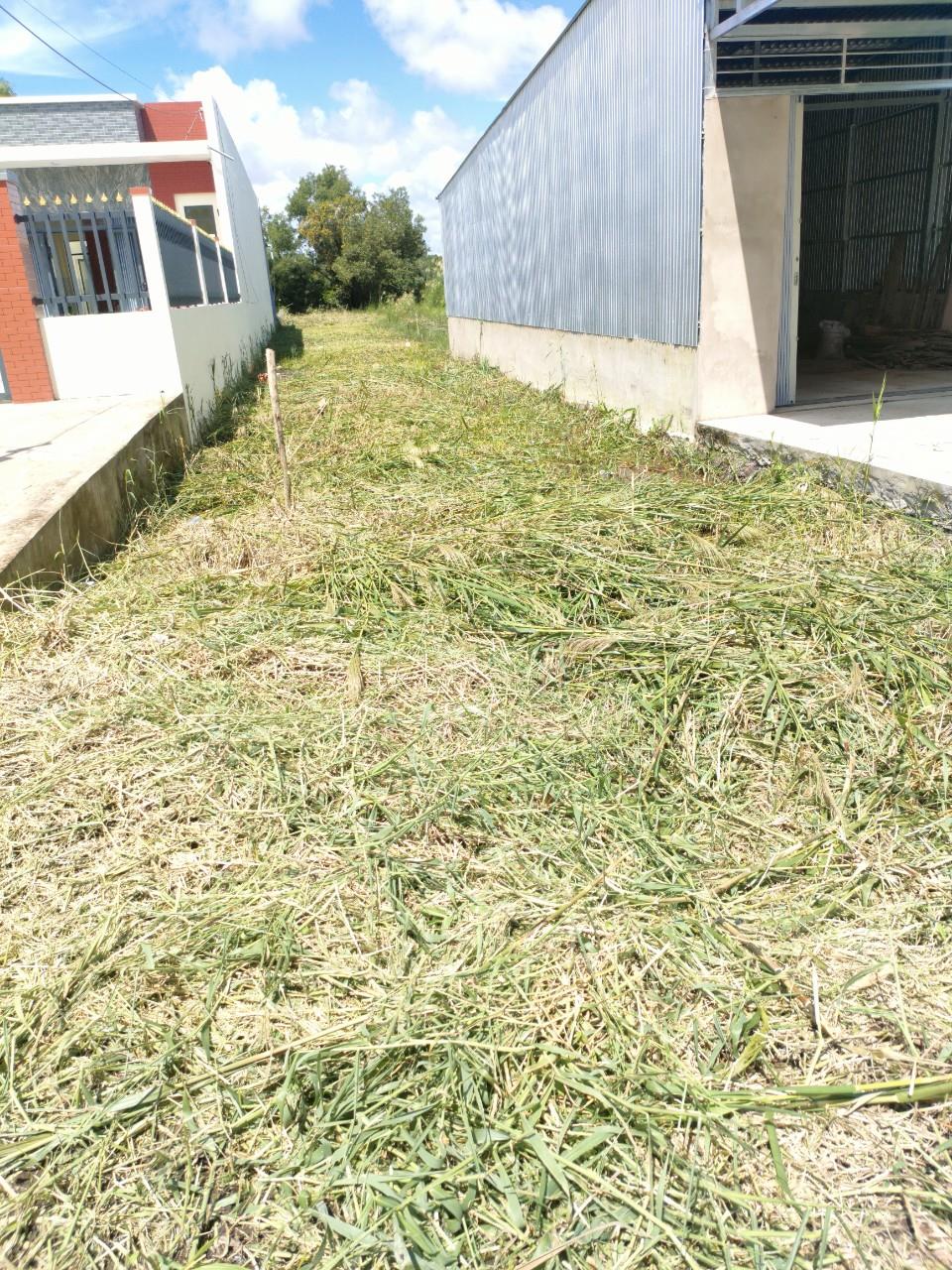 CHÍNH CHỦ BÁN NHANH LÔ ĐẤT TẠI Khóm 4, phường 8, TP. Cà Mau, Cà Mau