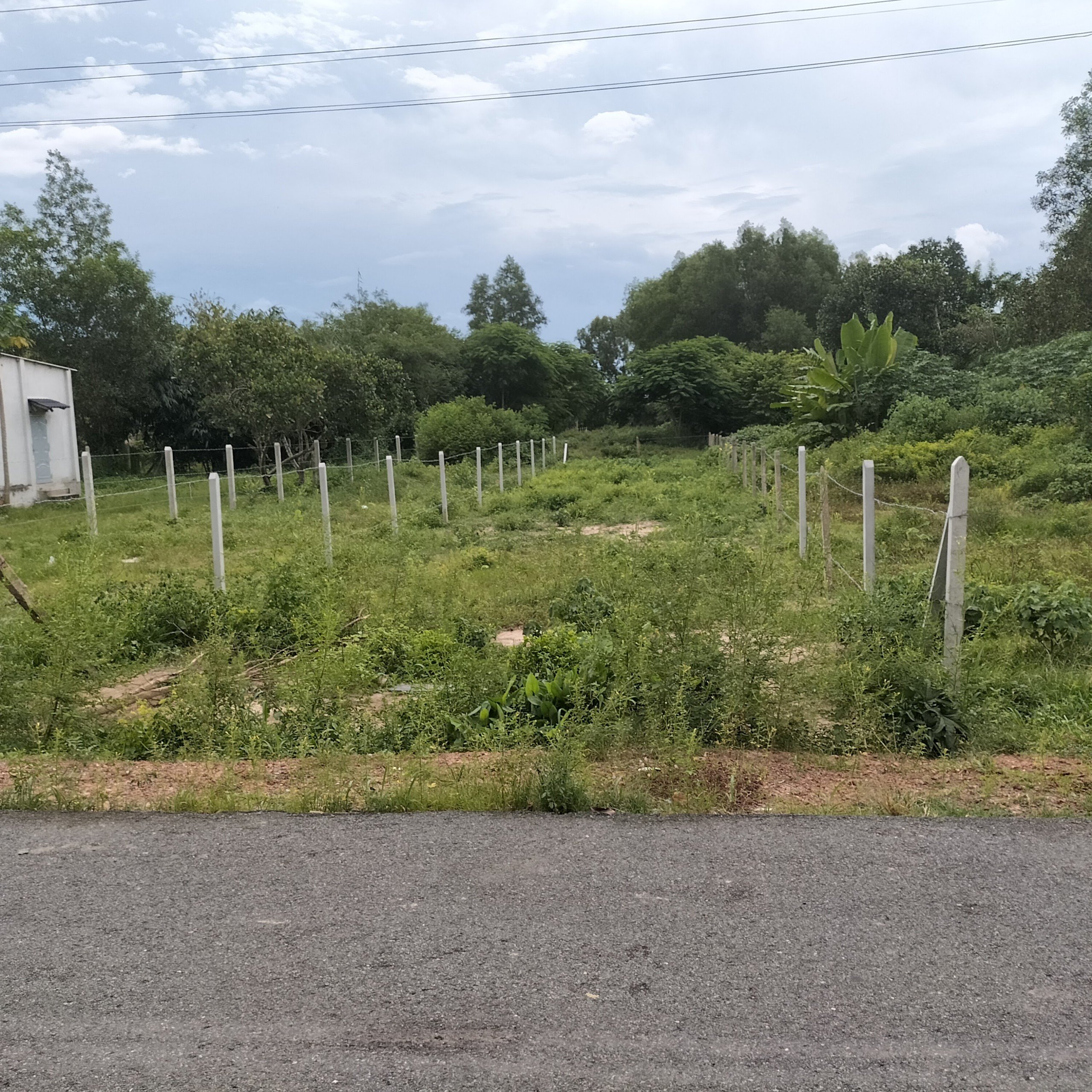 Chính Chủ Cần Bán Lô Đất Xã Phạm Văn Cội, Củ Chi, Hồ Chí Minh