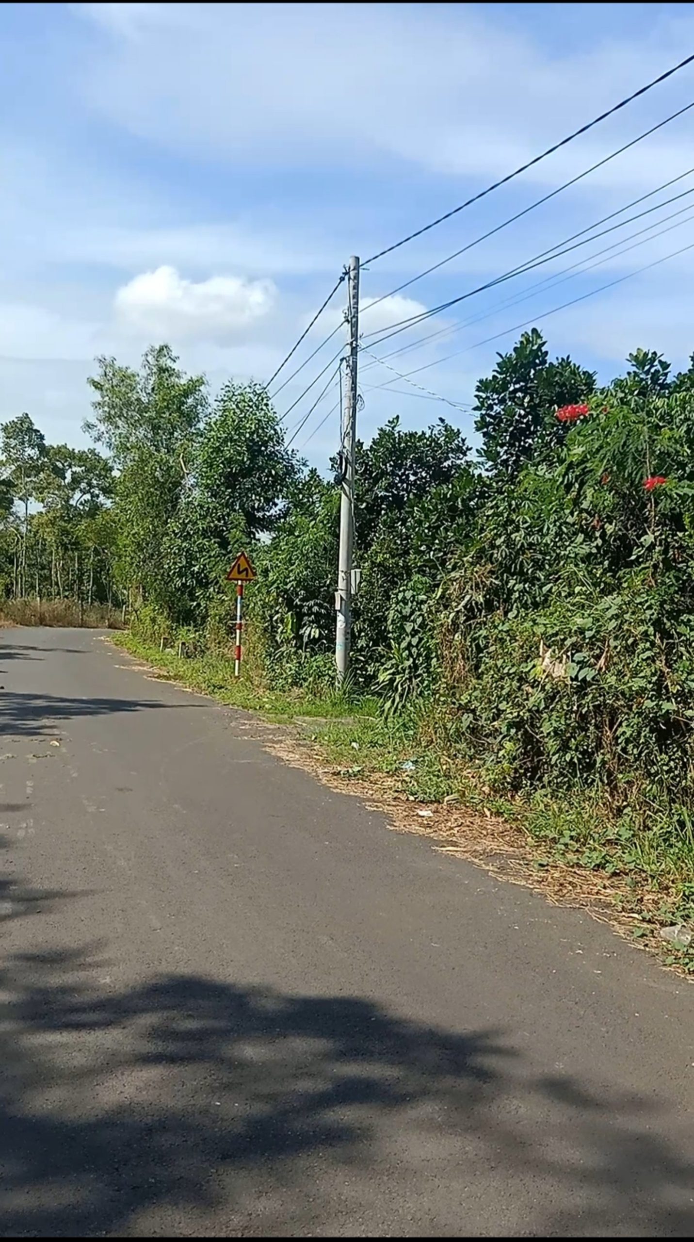 Cần bán nhanh căn nhà đất thổ cư mặt tiền nhựa, Kế bên phòng trọ " Gia Bảo" Tại Bình Ba Châu Đức