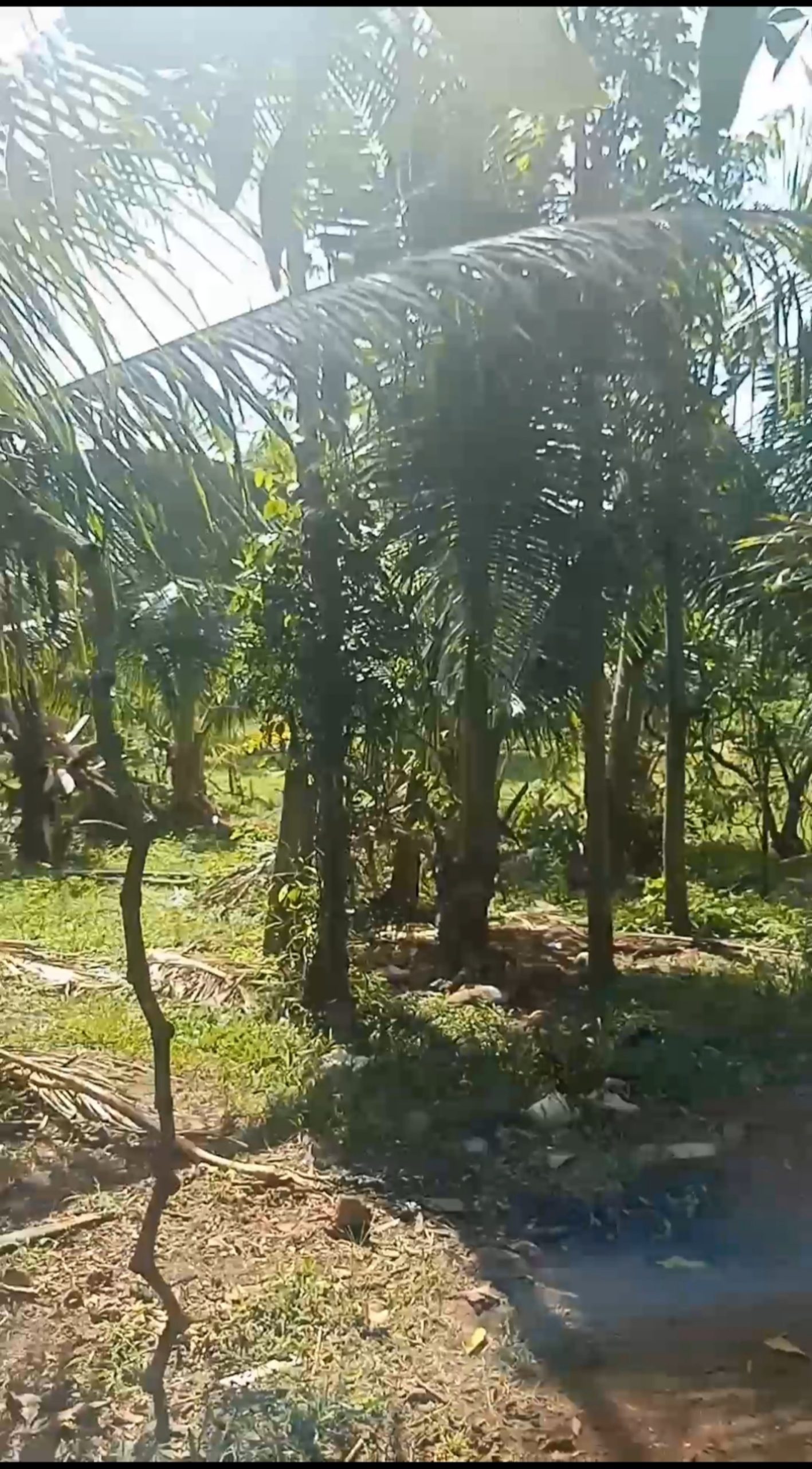 Cần bán nhanh căn nhà đất thổ cư mặt tiền nhựa Kế bên phòng trọ " Gia Bảo" Tại Bình Ba Châu Đức