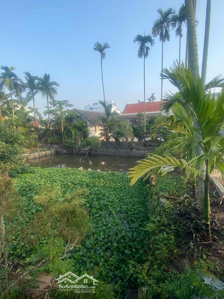 XẢ LỖ LÔ ĐẤT THỔ CƯ TẠI KHU ĐÔ THỊ MỚI, THỊ TRẤN YÊN ĐỊNH, HUYỆN HẢI HẬU, TỈNH NAM ĐỊNH