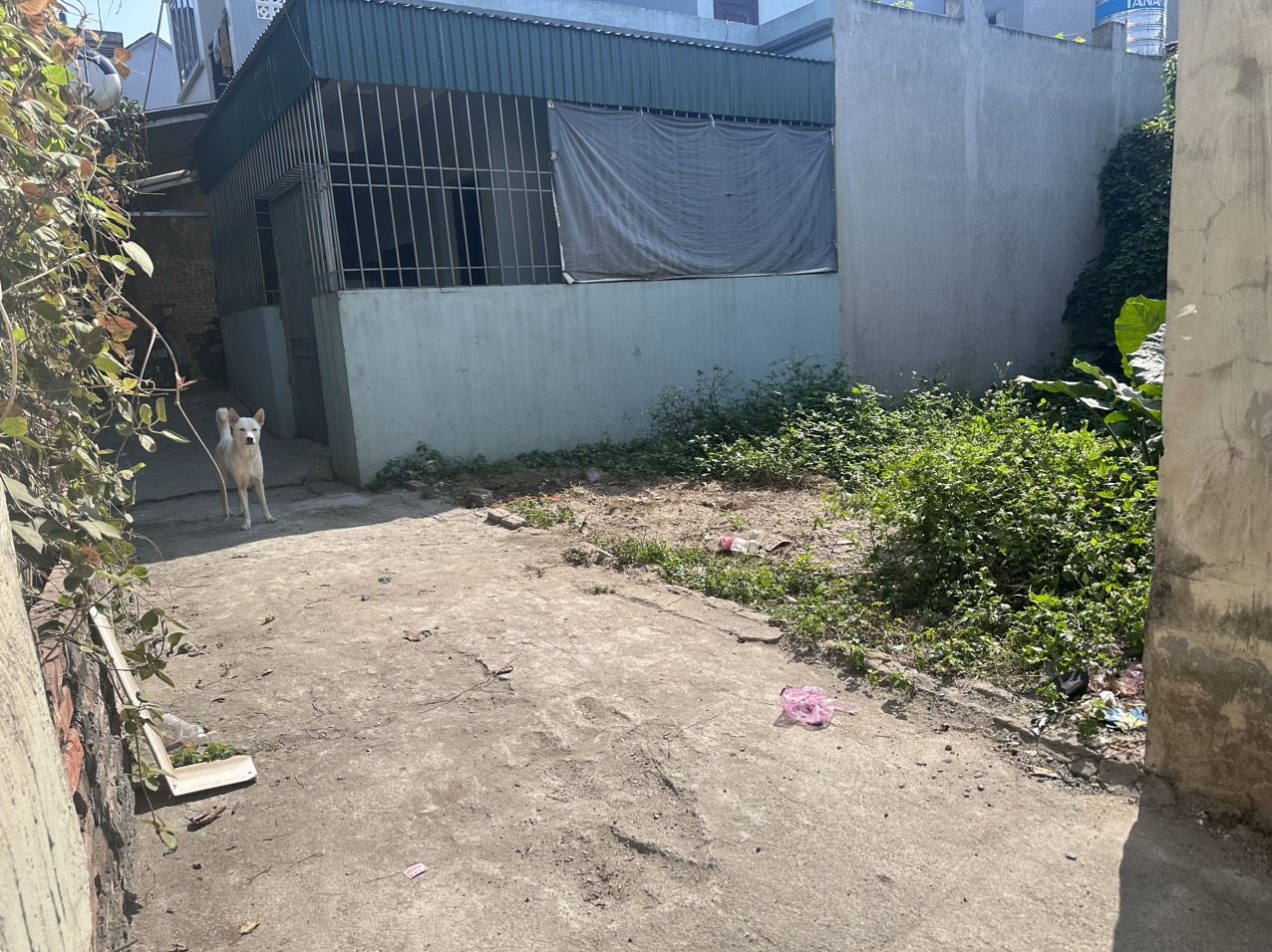 81.8m đất Ngọc Hòa gần Thị Trấn chúc sơn - chính chủ