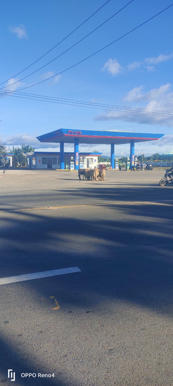 ĐẤT CHÍNH CHỦ - MẶT TIỀN - Vị Trí Đẹp Tại Mặt Đường Chính Hùng Vương - Đắk Hà, Kon Tum