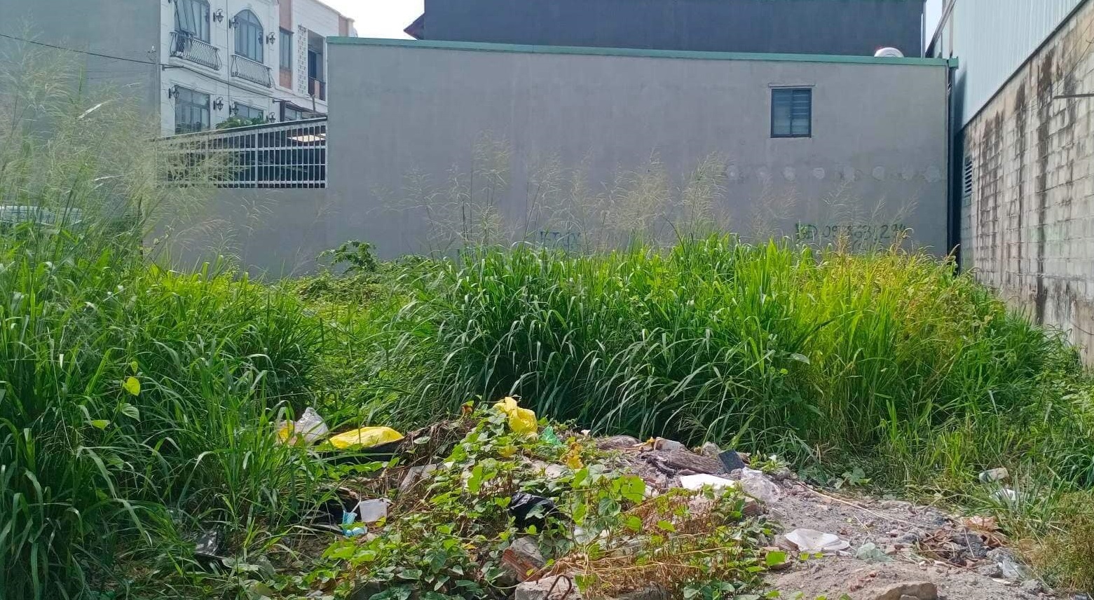 Kèo Thơm - 8m x 21m = 5.8 tỷ An Phú Đông Quận 12 TPHCM