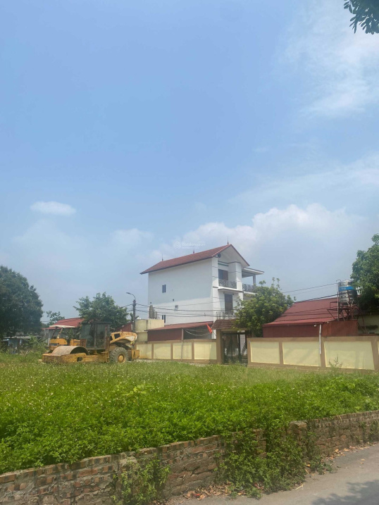 Chính chủ cần bán lô đất tại Thôn Đông Bắc, xã Kim Long, Huyện Tam Dương, Vĩnh Phúc.