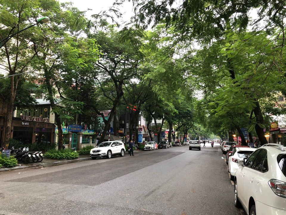 Kiến Trúc Pháp Mặt Phố Lý Thường Kiệt 336M2 -280 Tỷ 3 Tầng Mặt Tiền 13M - 1 Sổ 1 Chủ