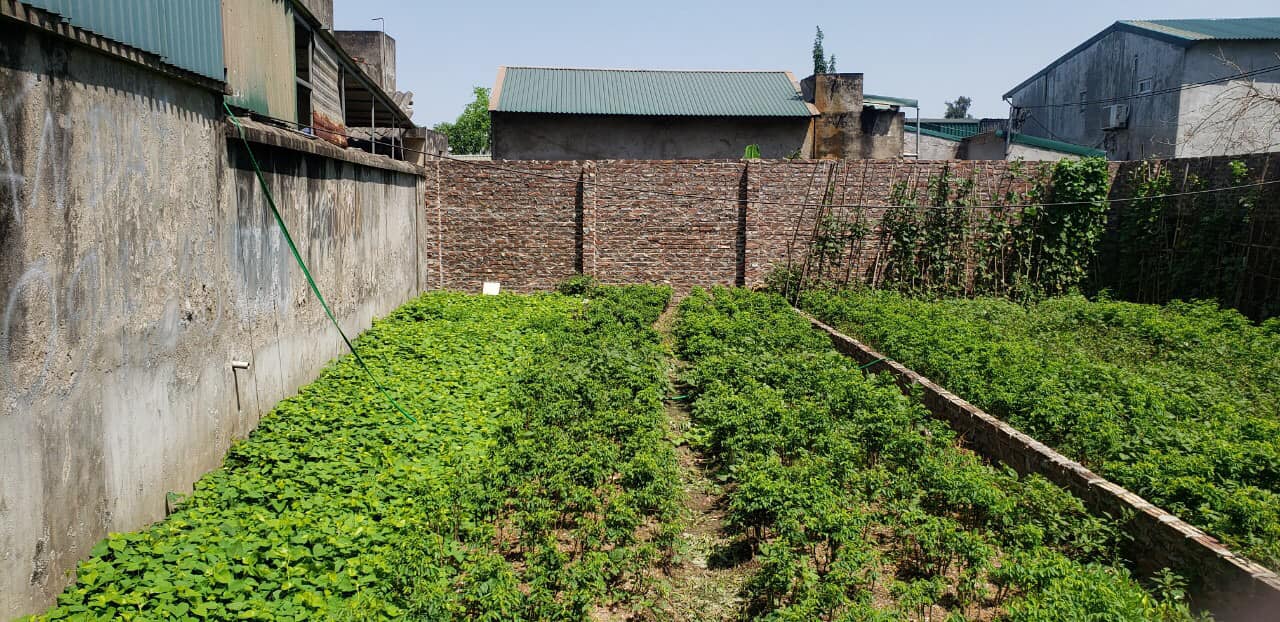 Hiếm! mảnh đất vàng phố Nguyễn Xiển, phân lô, ô tô tránh, 90m, mt 7.6m, chỉ 16.3 tỷ