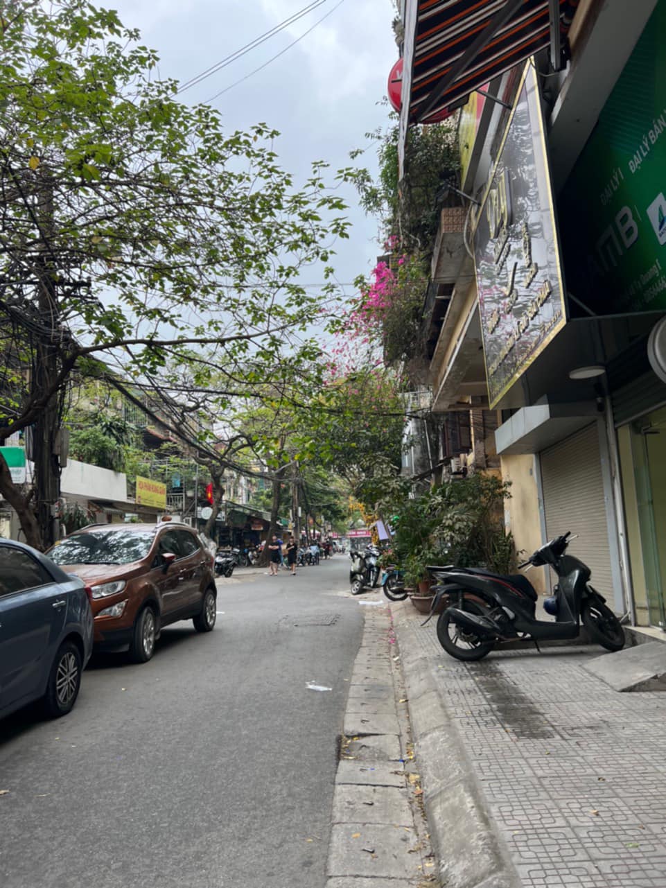 ⭐SIÊU RẺ-GIÁ ĐẦU TƯ-Mặt ngõ 48 Tạ Quang Bửu, HBT 113m/ 5Tầng,Ôtô tránh 16.8 Tỷ⭐