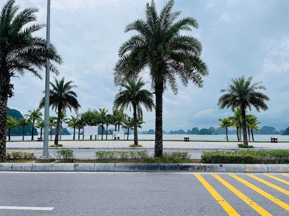 Bán Lô đất 312m2 View Biển, mặt đường Trần Quốc Nghiễn, bao biển bãi tắm Cột 5-8, Hồng Hà, Tp. Hạ Long - Cẩm Phả