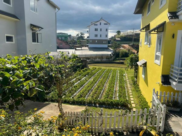 Bán đất mặt tiền đường Tô Hiệu P7 Đà Lạt 410m2