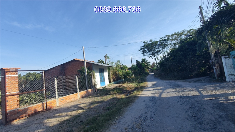 Giải Cứu Chủ NgỘp Cuối Năm